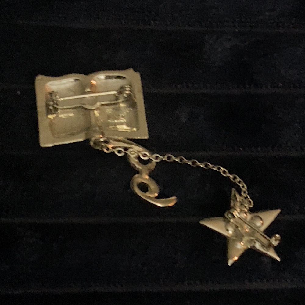 Vintage Order of the Eastern Star Holy Bible Brooch Pin Mason Masonic - Picture 3 of 6